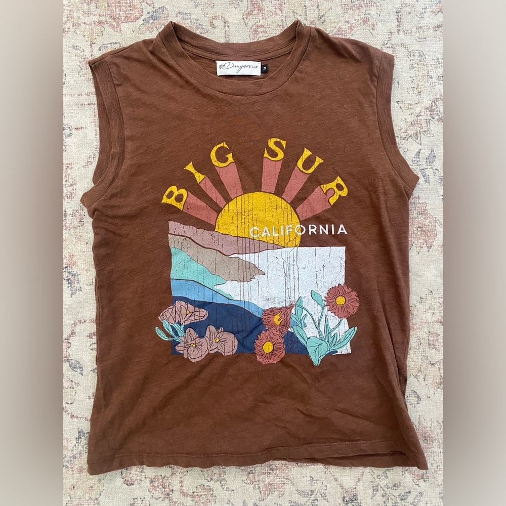 Anthropologie Brown Sleeveless Shirt